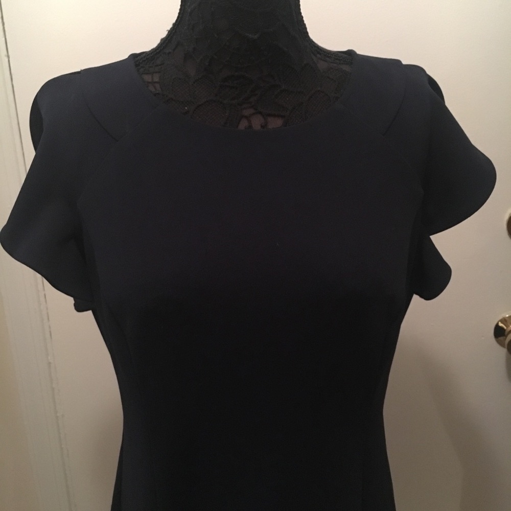 Navy Blue Vince Camuto Dress w/ Ruffle Sleeves
